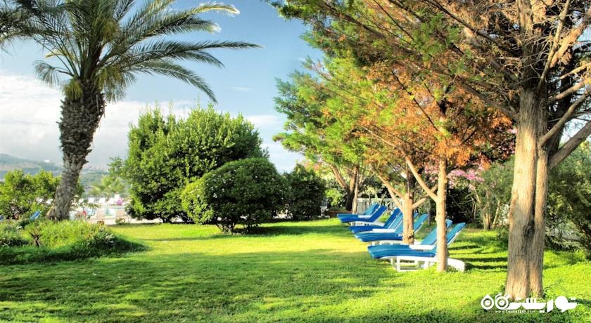 تخت های حمام آفتاب در فضای سبز